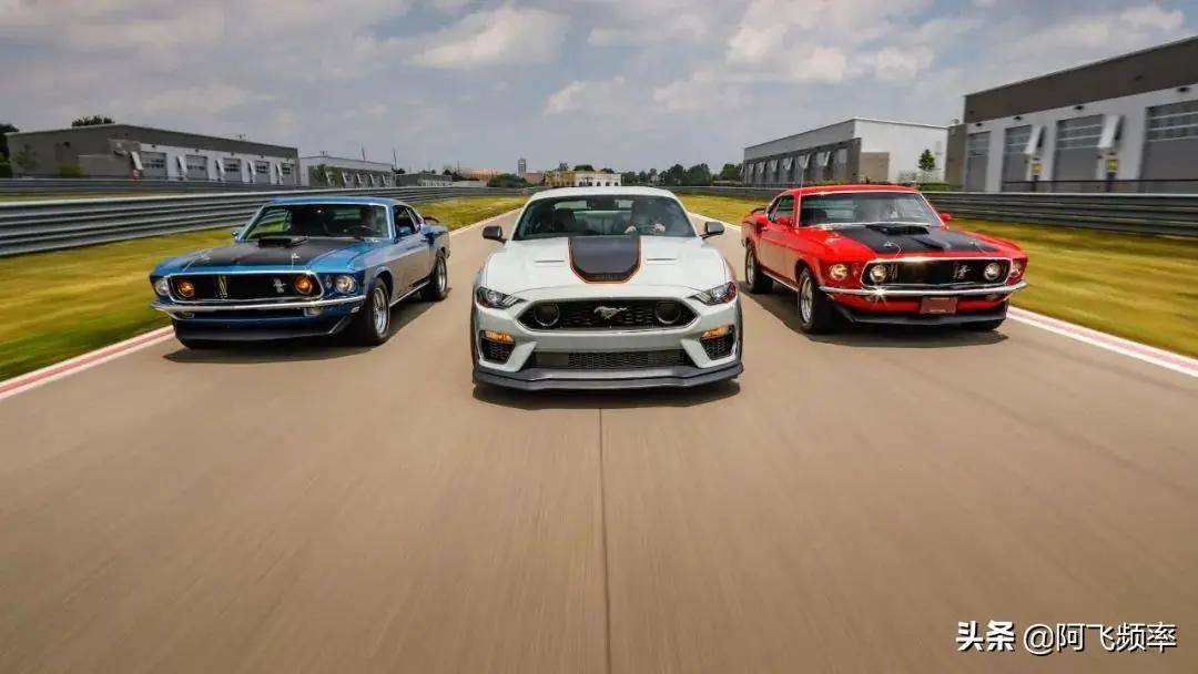 废弃谷仓发现罕见 1970年福特mustang mach 1特别版_搜狐汽车_搜狐网