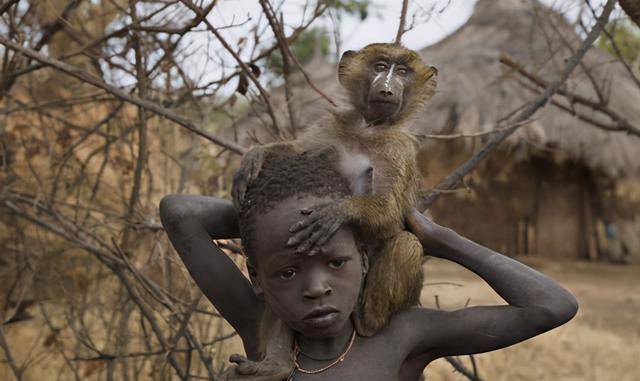 众所周知,黑人大多分布在非洲,并且分为南非人种和北非人种.