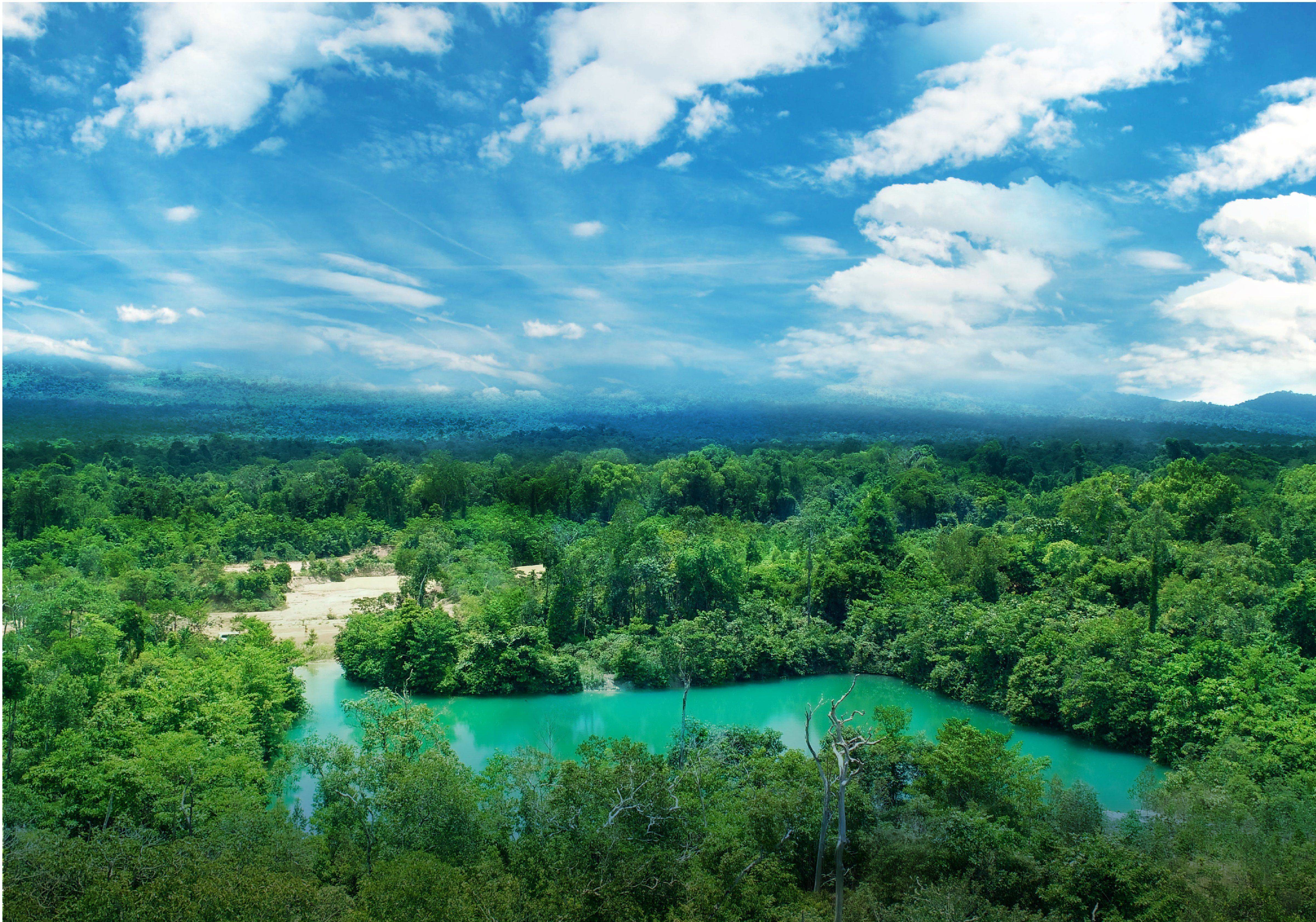 柬埔寨七星海:红树林中的绿色探险_自然_旅游_生态
