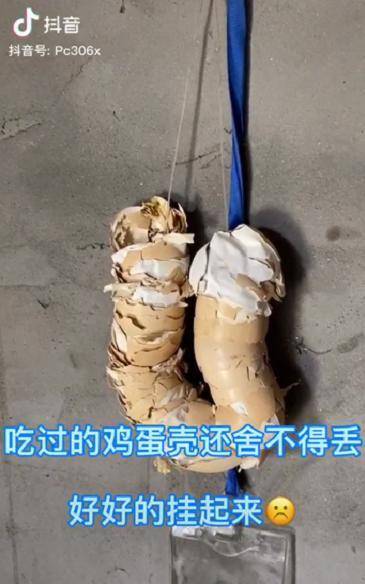 那些没长大就当"妈"的女孩们,何以为家_孩子_弟弟_小姑娘