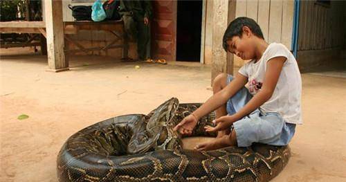 无独有偶,今天故事里的主人公和他的女朋友,被称为"爱熊情侣",他们