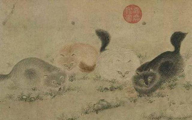 原创猫忽冷忽热高傲洒脱难驯服为何宋朝文人雅士还追猫成风