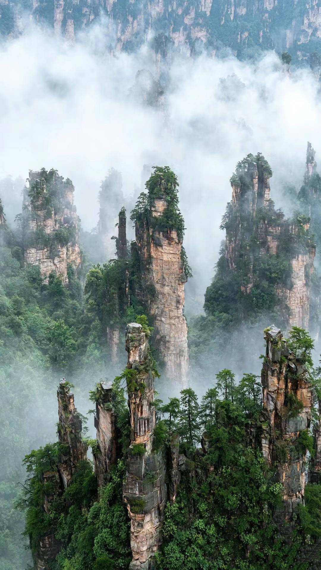 "南天一柱"是张家界"三千奇峰"中的一座,位于世界自然遗产武陵源风景