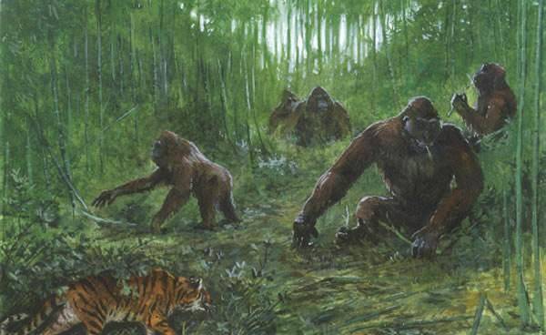 原创巨人真的存在吗世界各地相继发现巨人踪迹却被刻意隐瞒