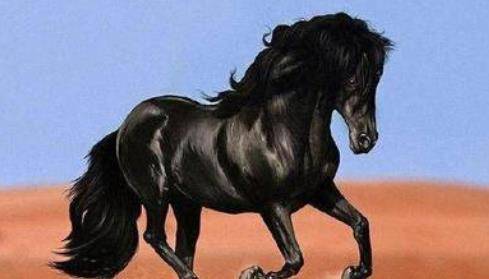 历史上的那些神驹你知道有哪些