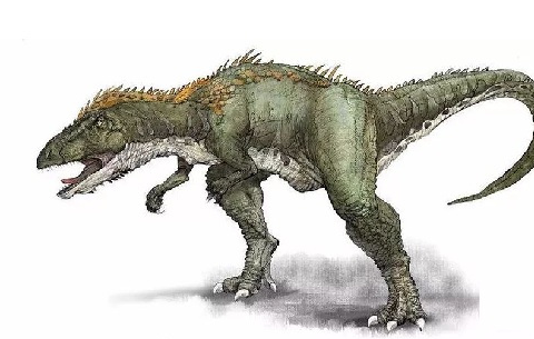 原创最强的恐龙是什么龙最厉害的恐龙第一名你猜到了吗