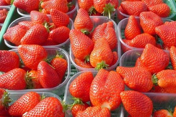 春季不可错过的6种时令水果你吃了么