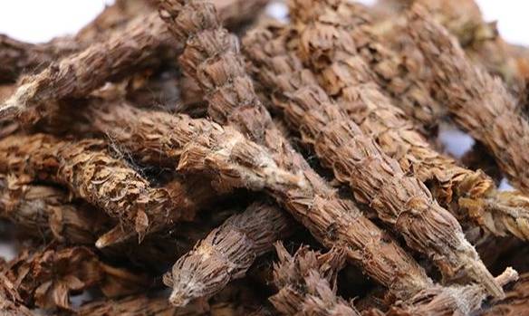 被人忽略的一味良药,春生夏亡,似"麦穗",可清泻肝火,降血压_枯草_植物