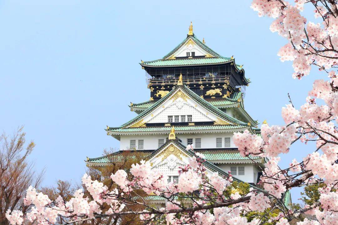 2024日本赏樱攻略,与春日樱花"一期一会"!