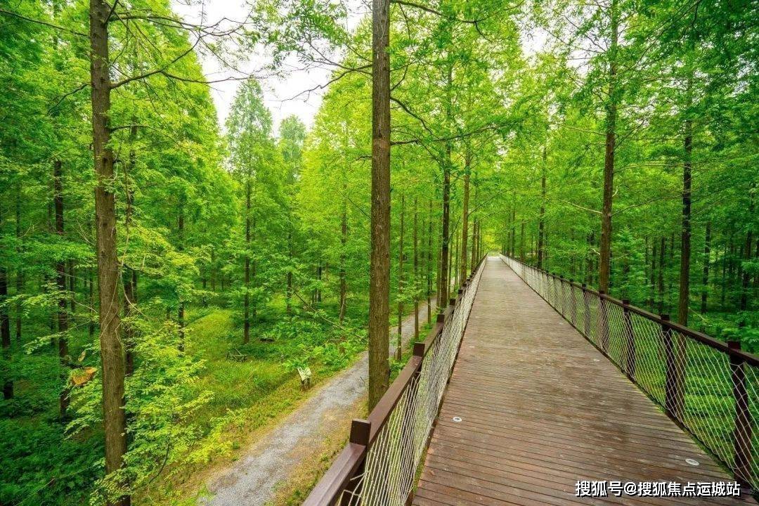 10大公园环绕,并临近全市最大森林公园——清林径森林公园,空气质量