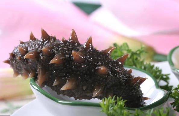 原创海参不能随便吃尤其是这8类人更需引起重视