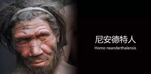 尼安德特_偏远地区_生活