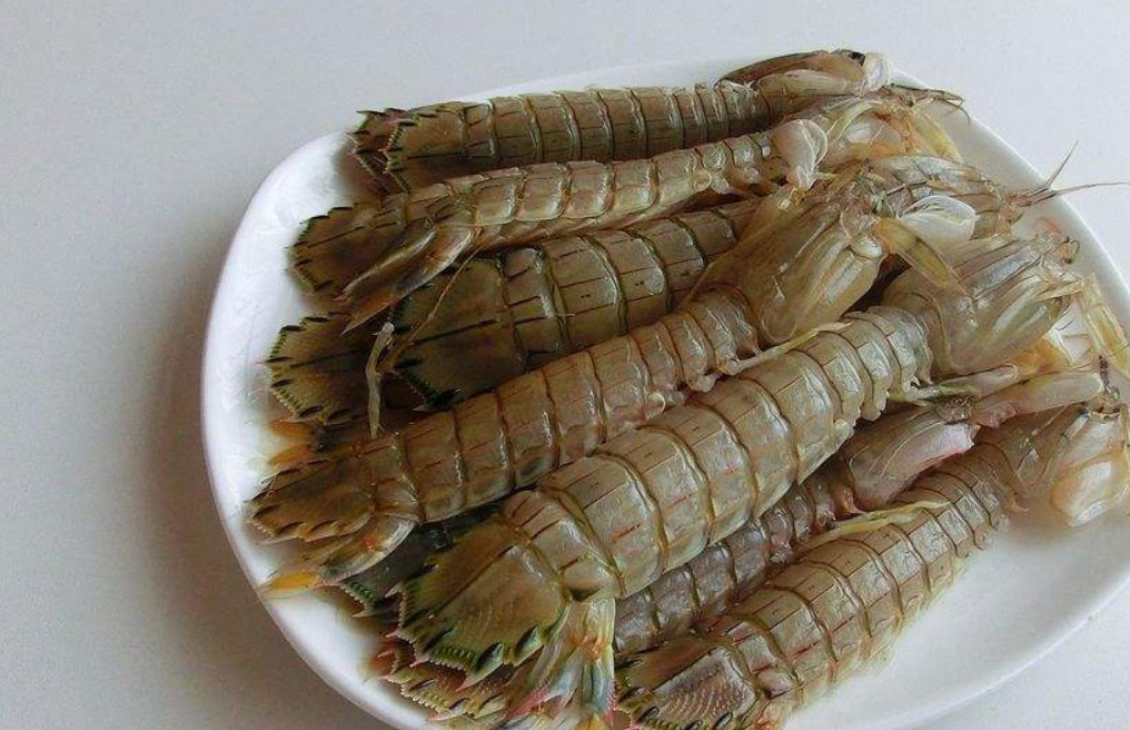 学名叫做虾蛄,但是它的别称还有很多,例如皮皮虾,濑尿虾,琵琶虾等等