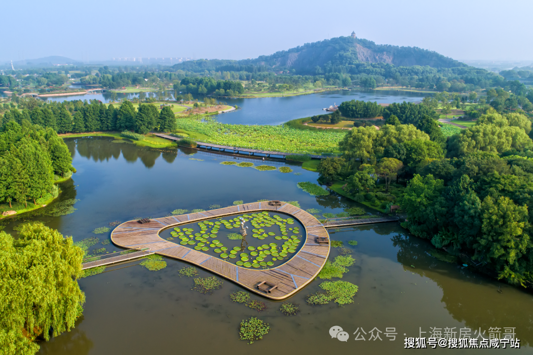 中國鐵建星樾雲棲認籌時間泗涇中國鐵建星樾雲棲最後