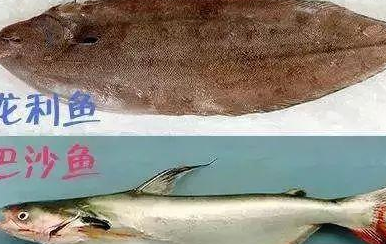 超市买鱼柳时,巴沙鱼和龙利鱼要区分,别再被当小白"宰客"了_肉质_价格