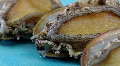 原创最近去菜场买鲍鱼是最佳时期做个捞饭不在话下