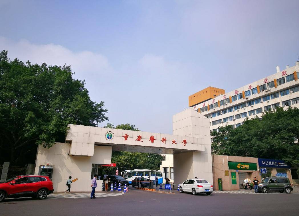 电子科大稳居第二,西南财大位列第五_教育_高校_重庆