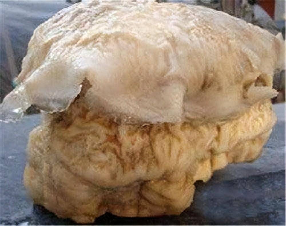 太岁到底是什么东西我国科学家用精密仪器终解开太岁之谜