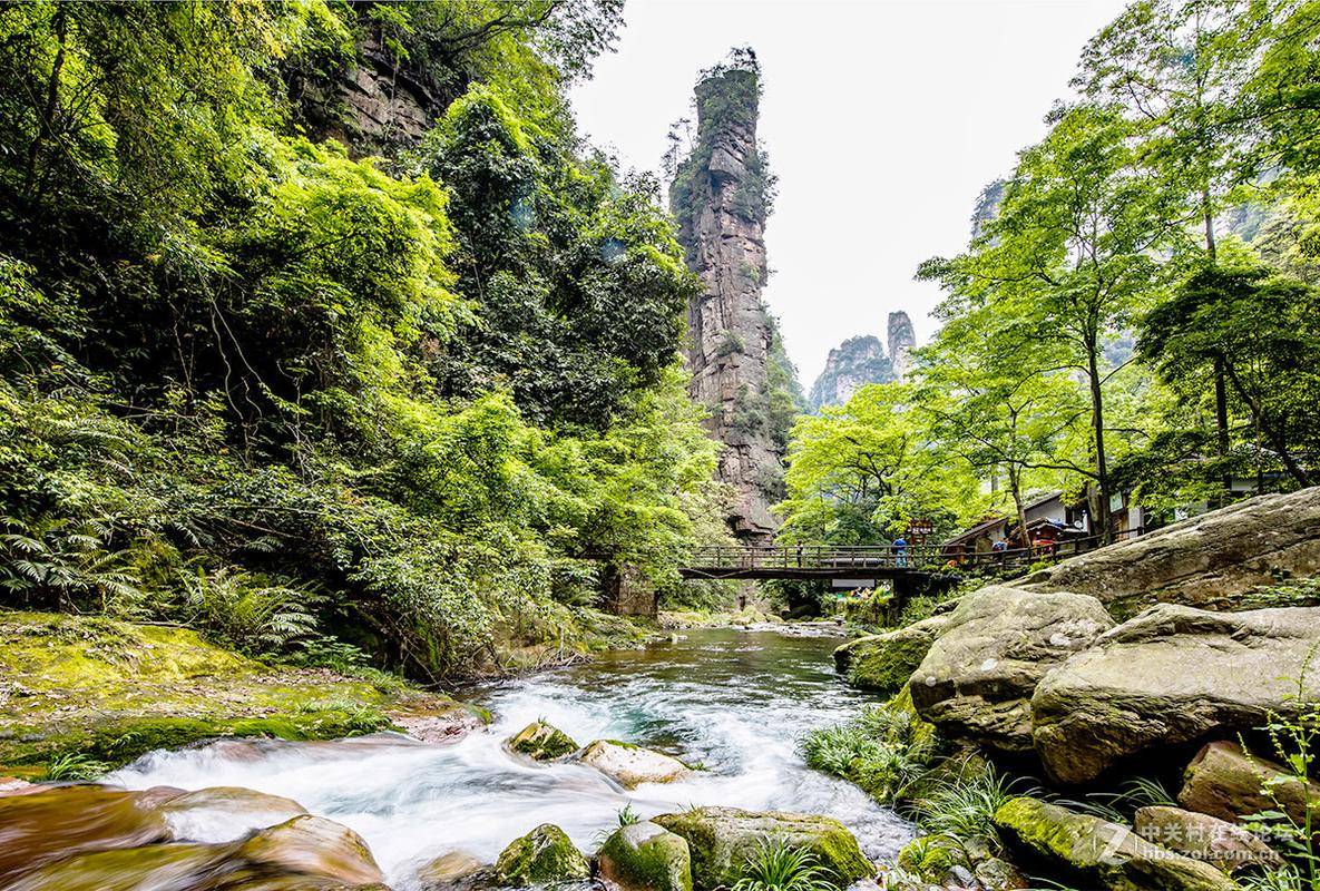 金鞭溪风景区图片