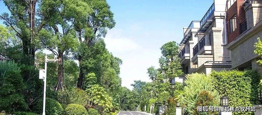 80万平方的大盘,背后直接就挨着帽峰山,光是项目花园的造价就花了3亿