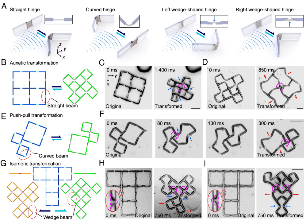 科学家开发基于声学的可变形微型机器实现微小尺度下的受控形变