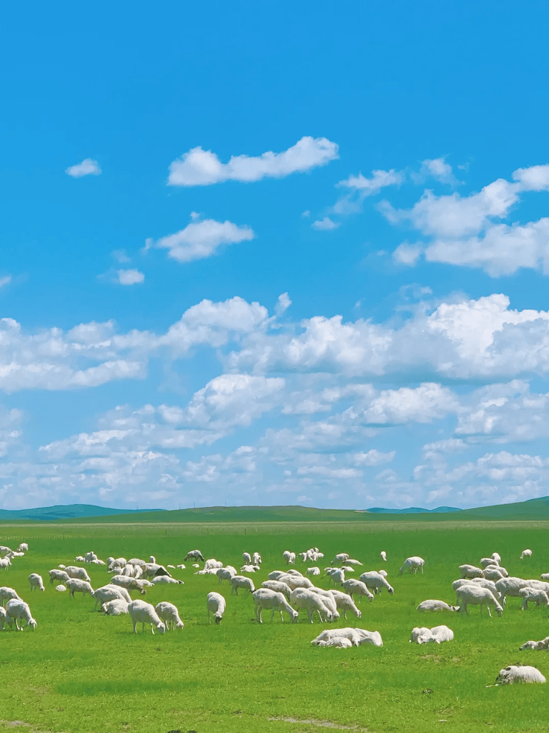 内蒙古旅游跟团6天多少钱?内蒙旅游团报价6日游价格,必看!