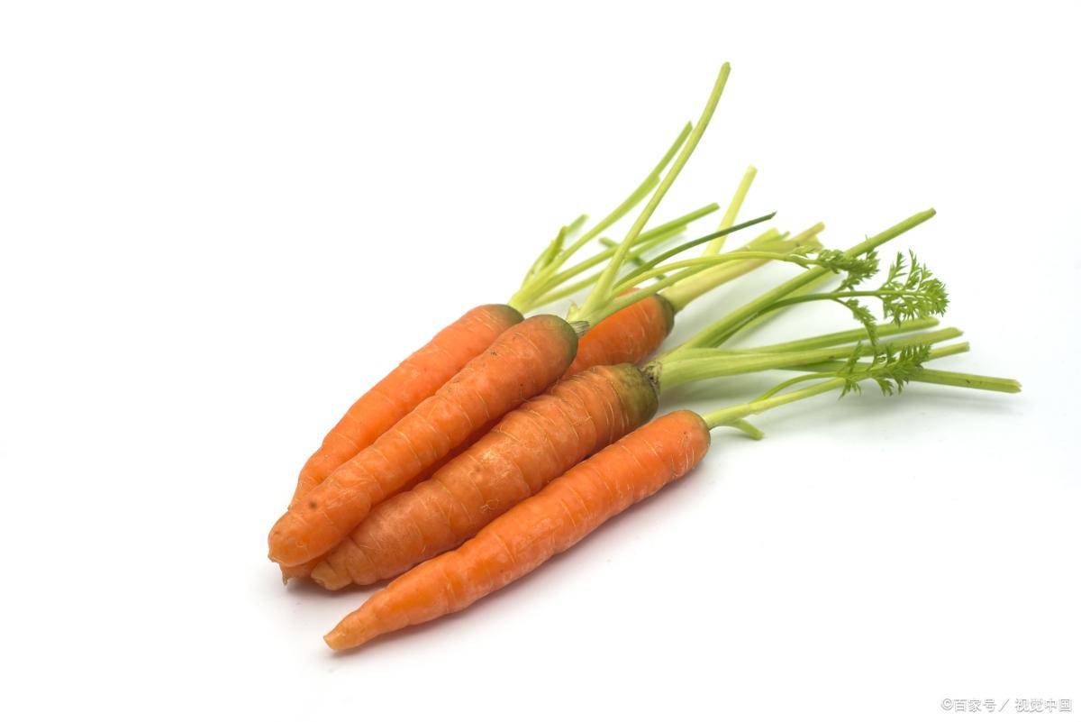 胡萝卜对植物神经紊乱患者有帮助吗