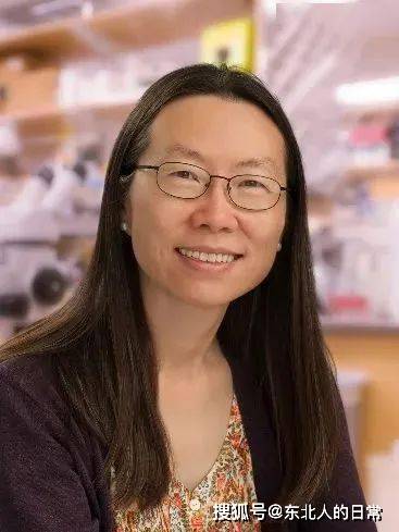 金亦石崔屹,现任斯坦福大学材料科学与工程系教授.