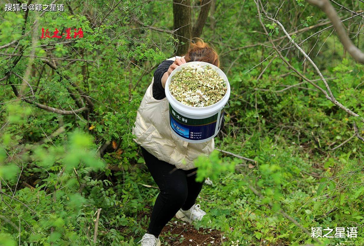 春暖花开16种山珍野味就在美丽的风景里