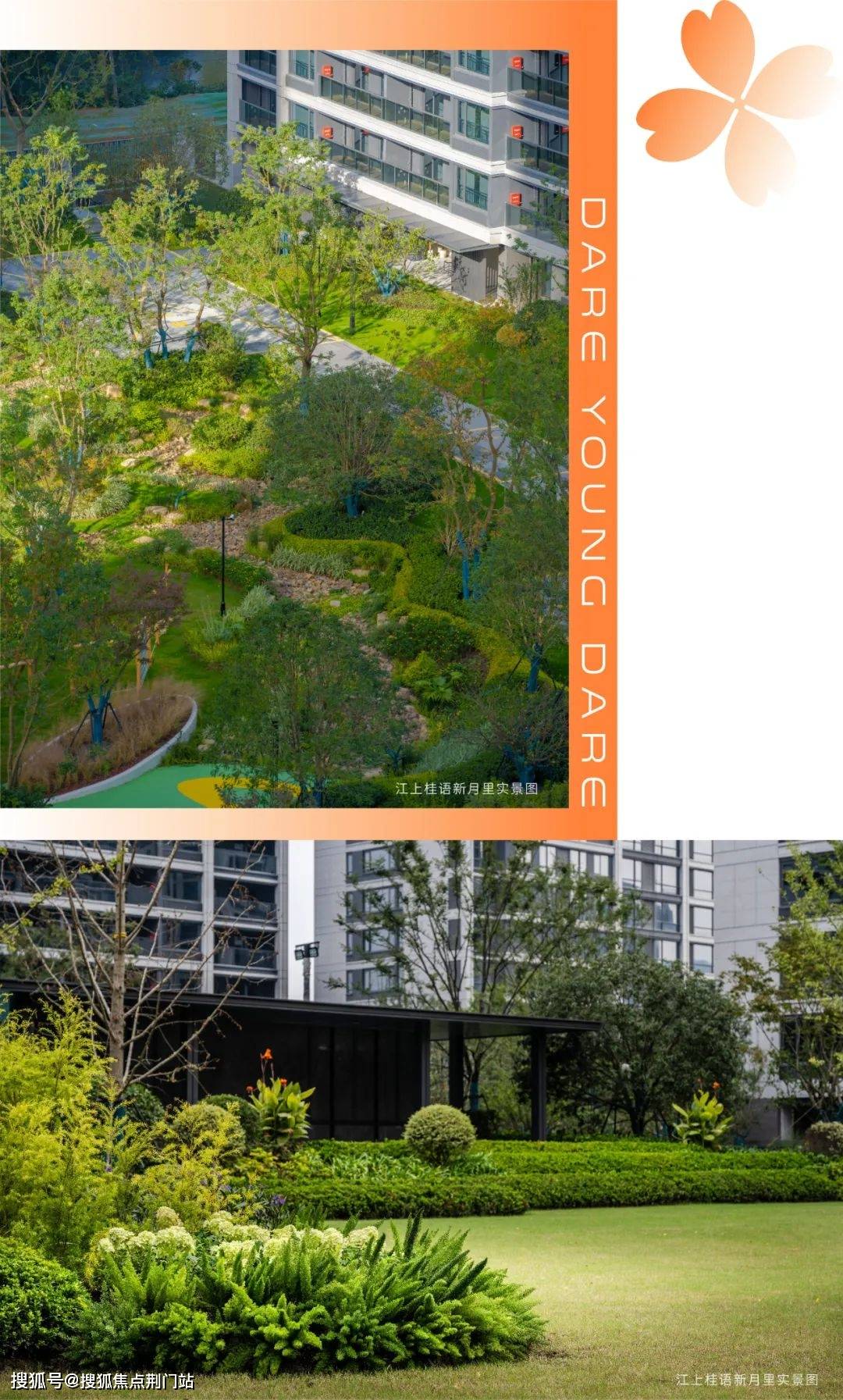 家附近就能观看最新影院大片;阳陂湖湿地公园,新桥江在侧,周末呼朋唤