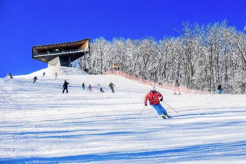 临洮县冰雪旅游图片