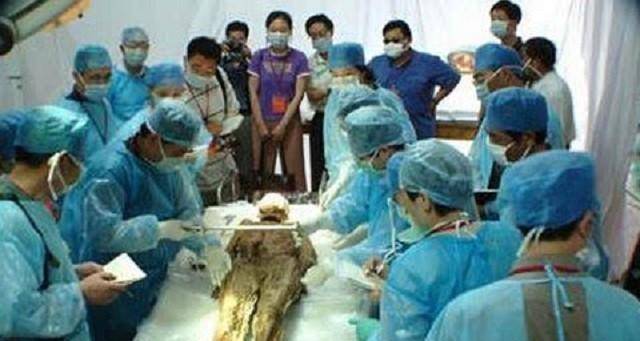 原创02年江苏挖出一副千年木棺棺中女尸尸身未腐五脏六腑保存完好