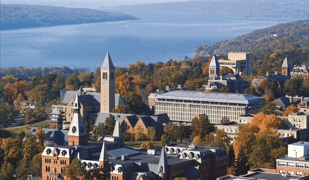 是美国境内的一所私立综合类研究型大学,为常春藤联盟成员校,国际大学