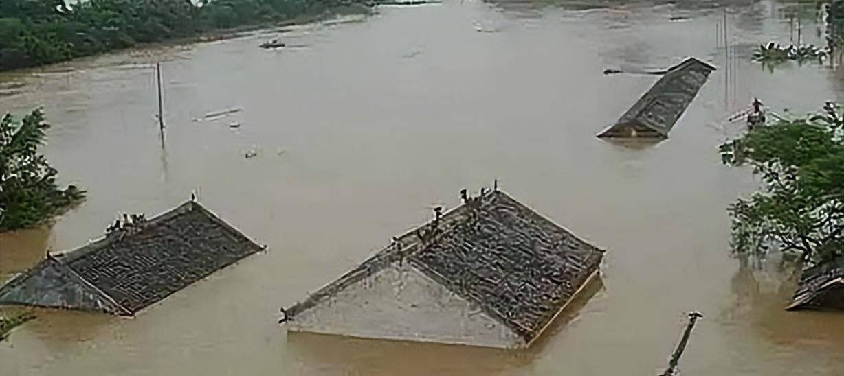 1983年安康蛇灾是怎么回事其实是假的蛇都是放生的