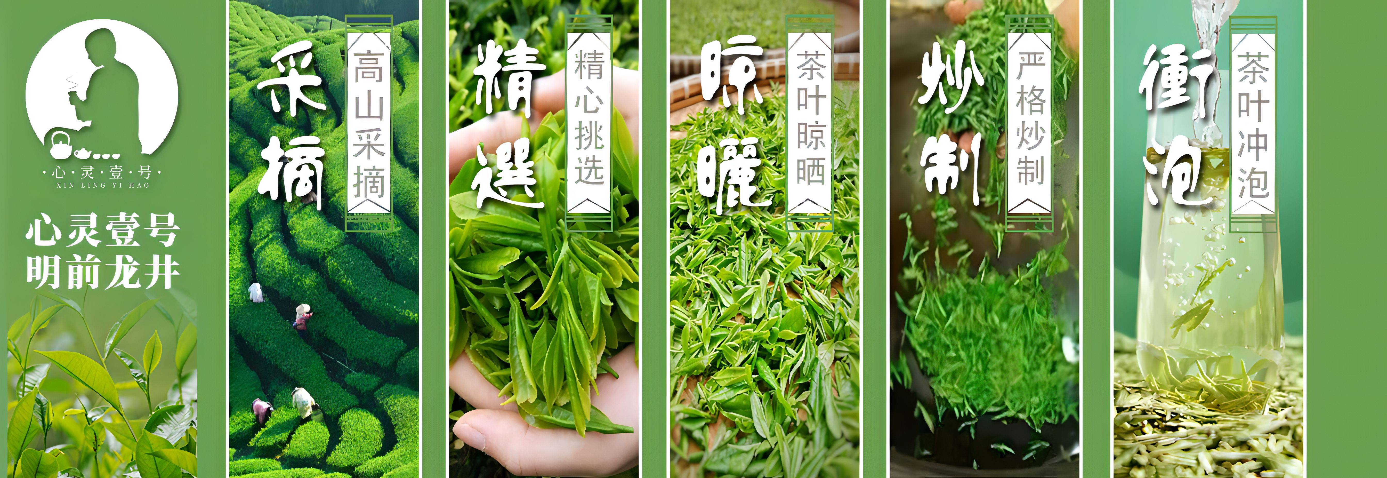 龙井茶制作过程图片