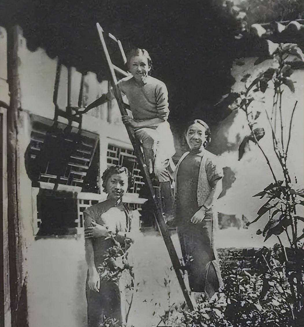 对校花一见钟情每天必说我爱你周培源六十年只爱过一人