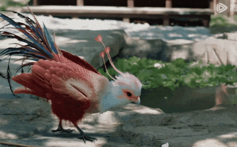 赵丽颖霸气女王爷与病娇神君喜感十足,却被小凤凰抢了风头_因为_人形