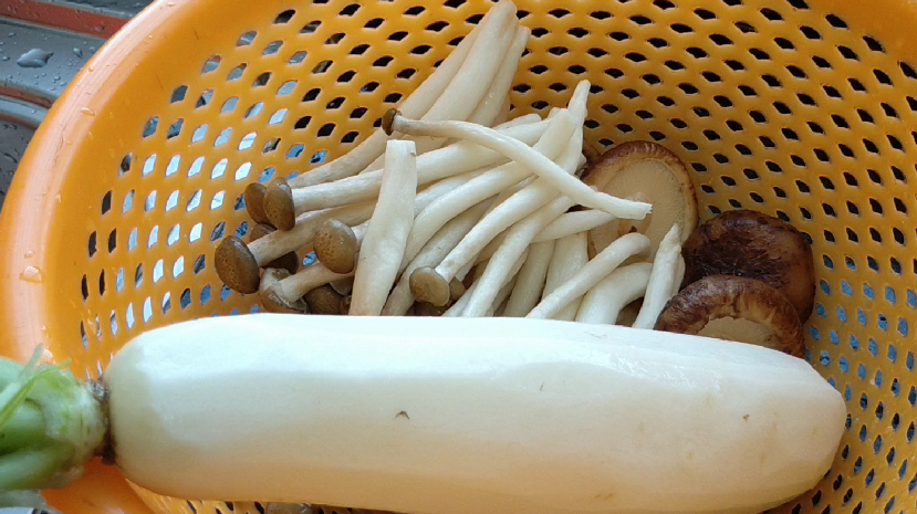 美食可以常给家人做,营养美味好简单,出锅一会被扫光_肥牛_萝卜_鲜菇