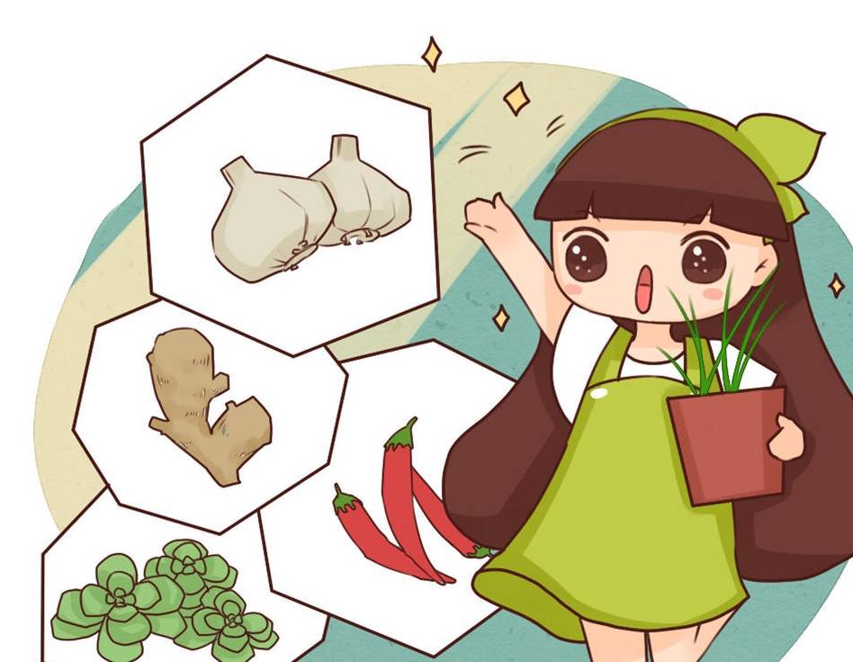 原创让生菜百吃不厌口感脆嫩不变色做法非常简单