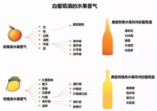 如何识别葡萄酒中的香气