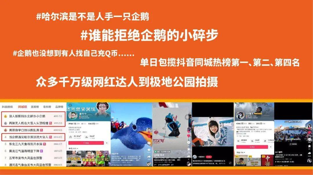 企鹅哈尔滨文旅爆火的导火线