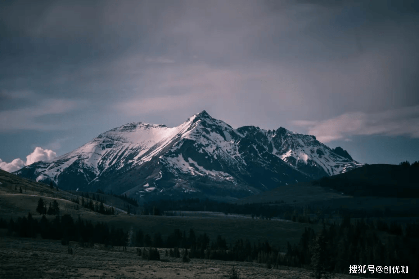 2024上半年,人品爆棚,好运连连,顺风顺水,事事如意的4个生肖