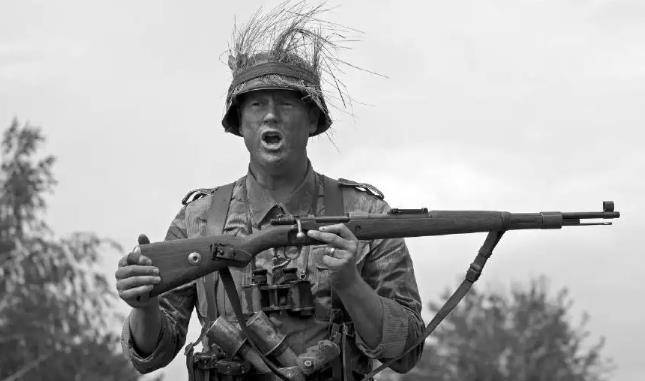 二战法国投降后300万法军都干了什么事