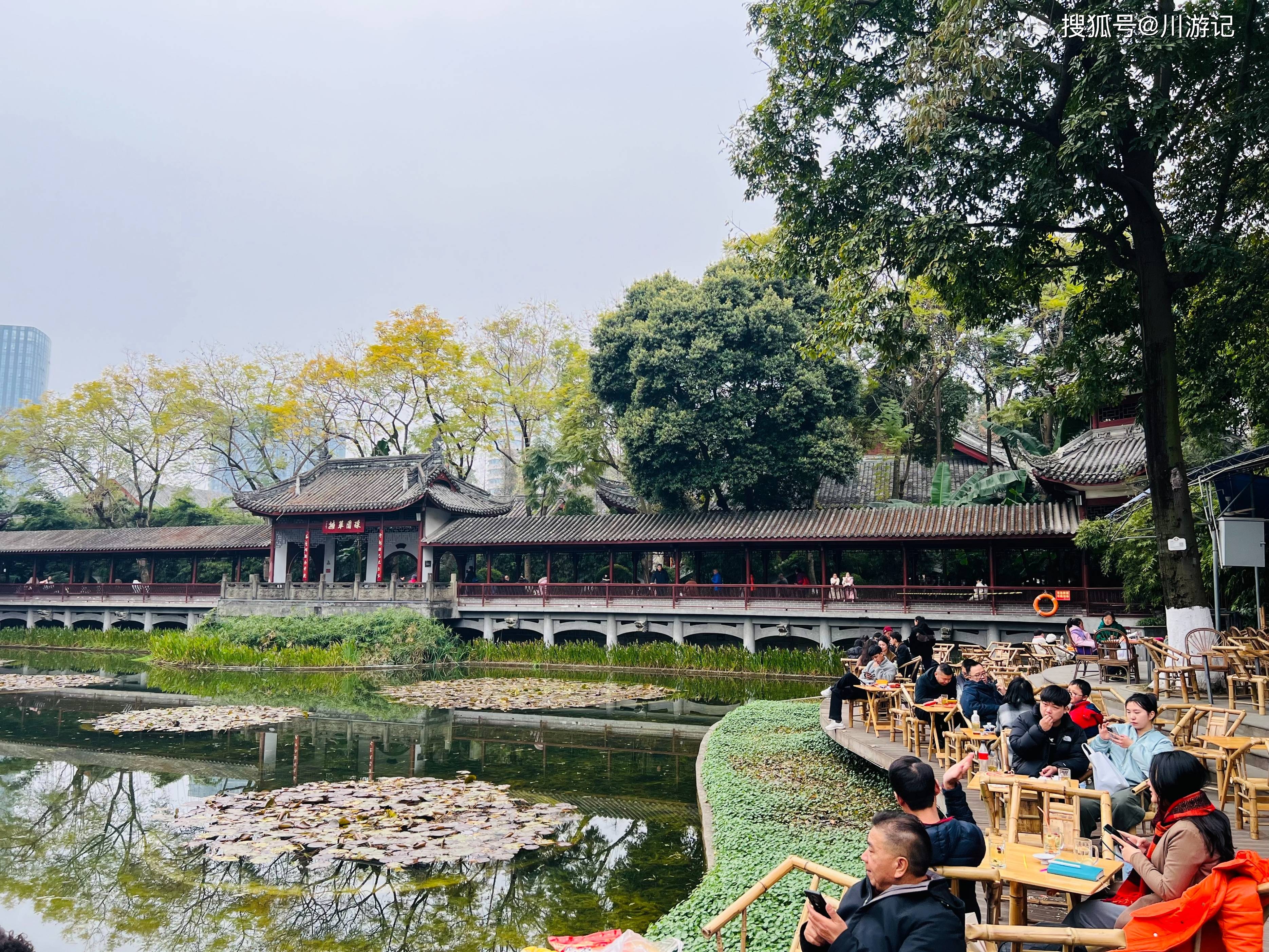 成都春日适合看花的公园面积105亩悠闲惬意是当地人聚集地