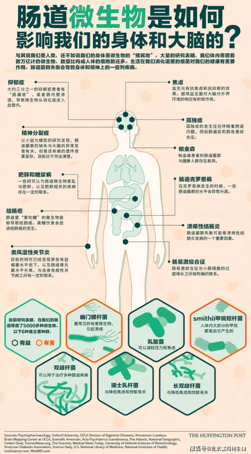 脑子不好使不是你的错,科学家透露挽救方法!