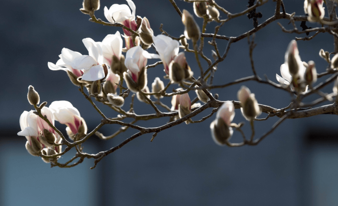 今天起秦皇岛将大变样