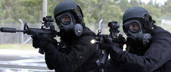 1994年4月24日至4月25日,多名恐怖分子劫持了一架印度航班,黑猫突击队