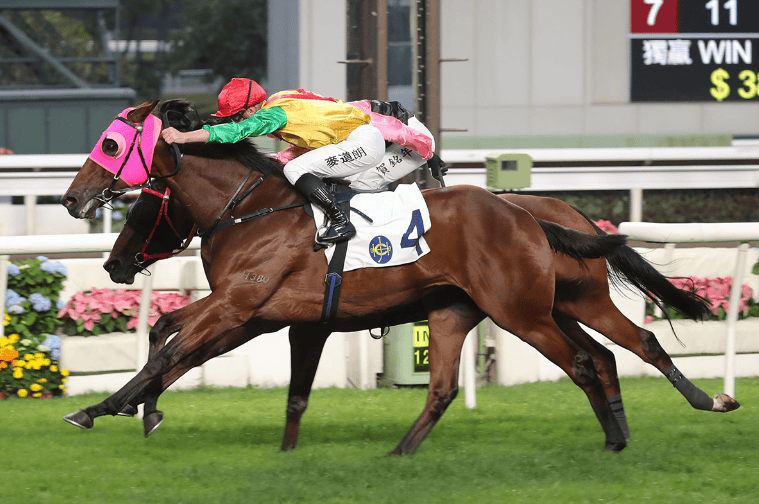第147届宝马香港打吡大赛马匹排位表出炉