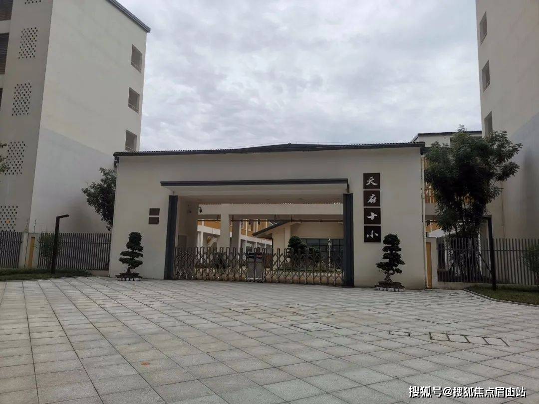 天府五小,天府三小(龙江路小学领办),天府四中(石室中学校领导任职)