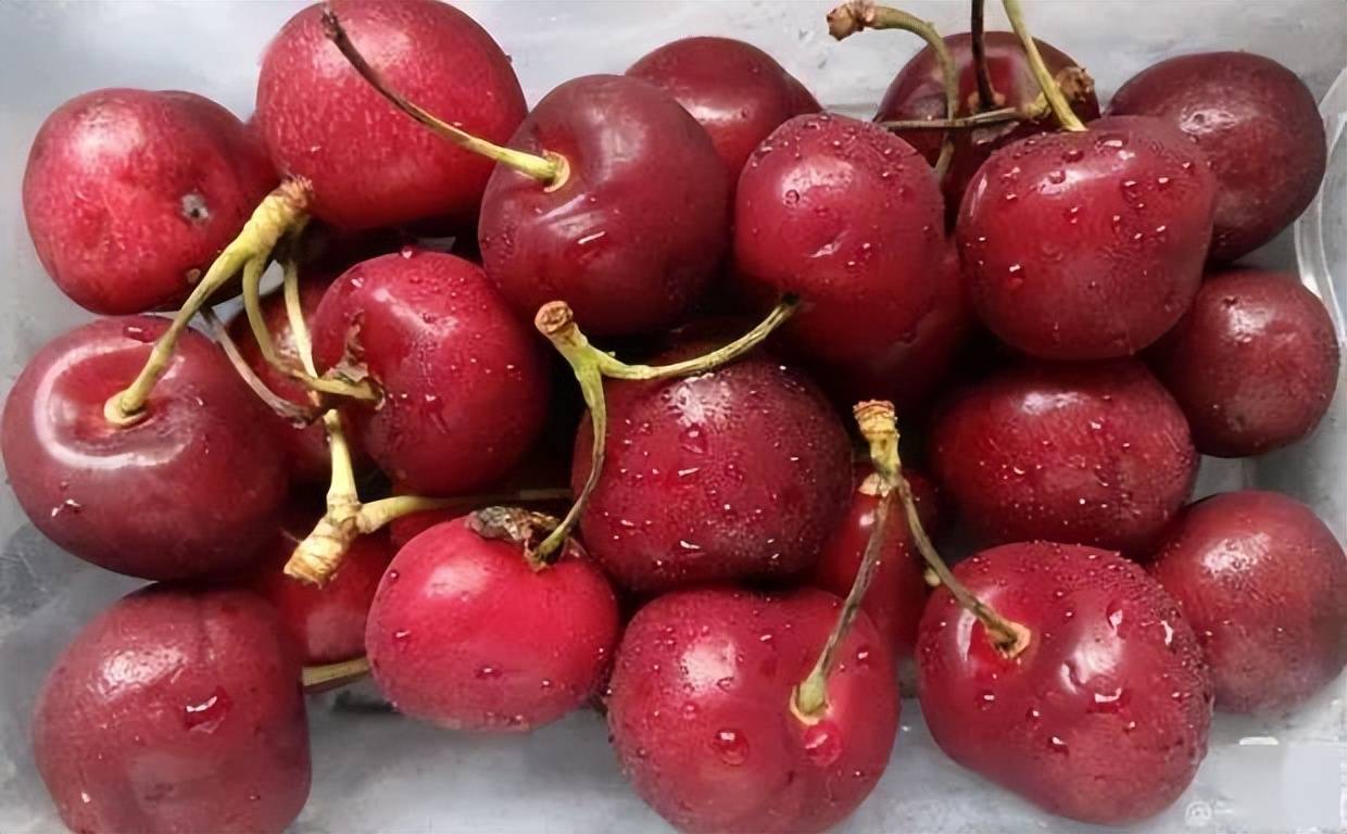 原创樱桃酪千年传承的宫廷美味历史渊源与制作秘籍大揭秘